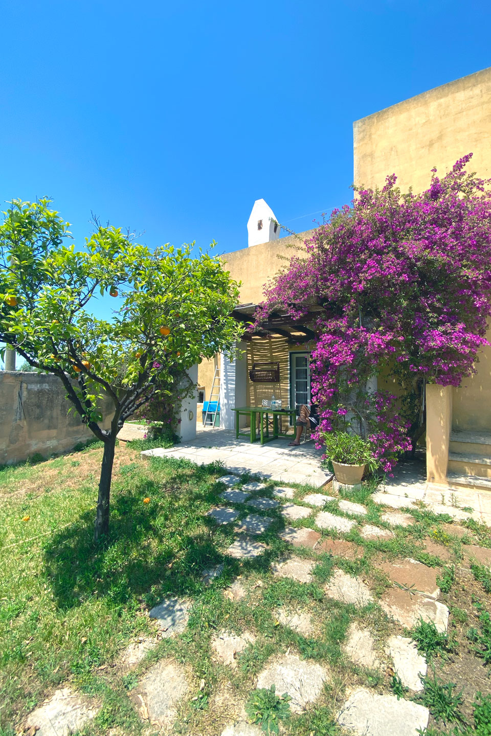 MasseriaMosca_albero